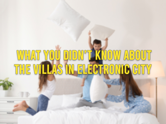 What You Didn't Know About The villas in Electronic City