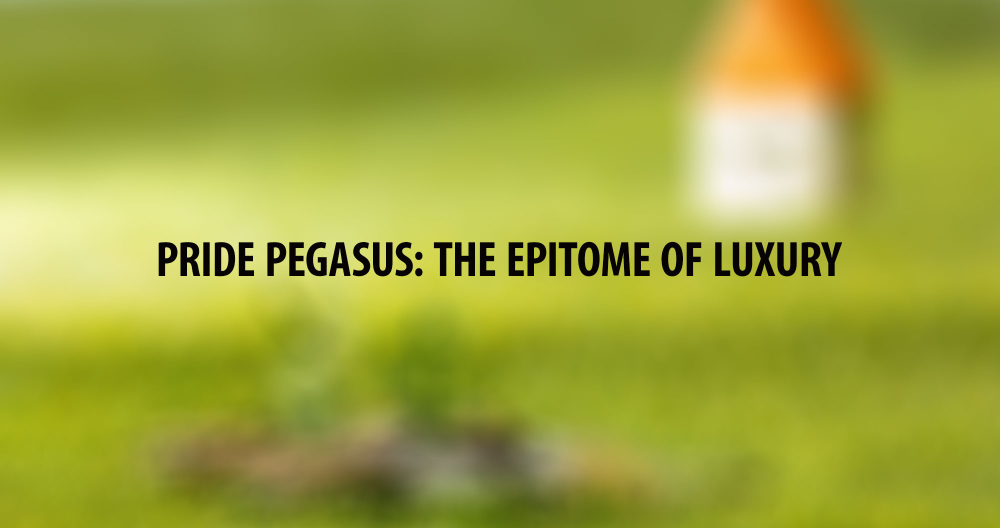 Pride Pegasus: The Epitome Of Luxury