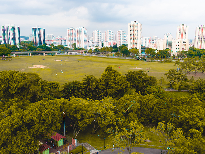 Plotted Development in Bangalore – A Complete Guide for Smart Property Investment