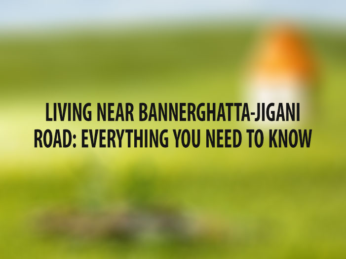 Living near Bannerghatta-Jigani Road: Everything You Need to Know