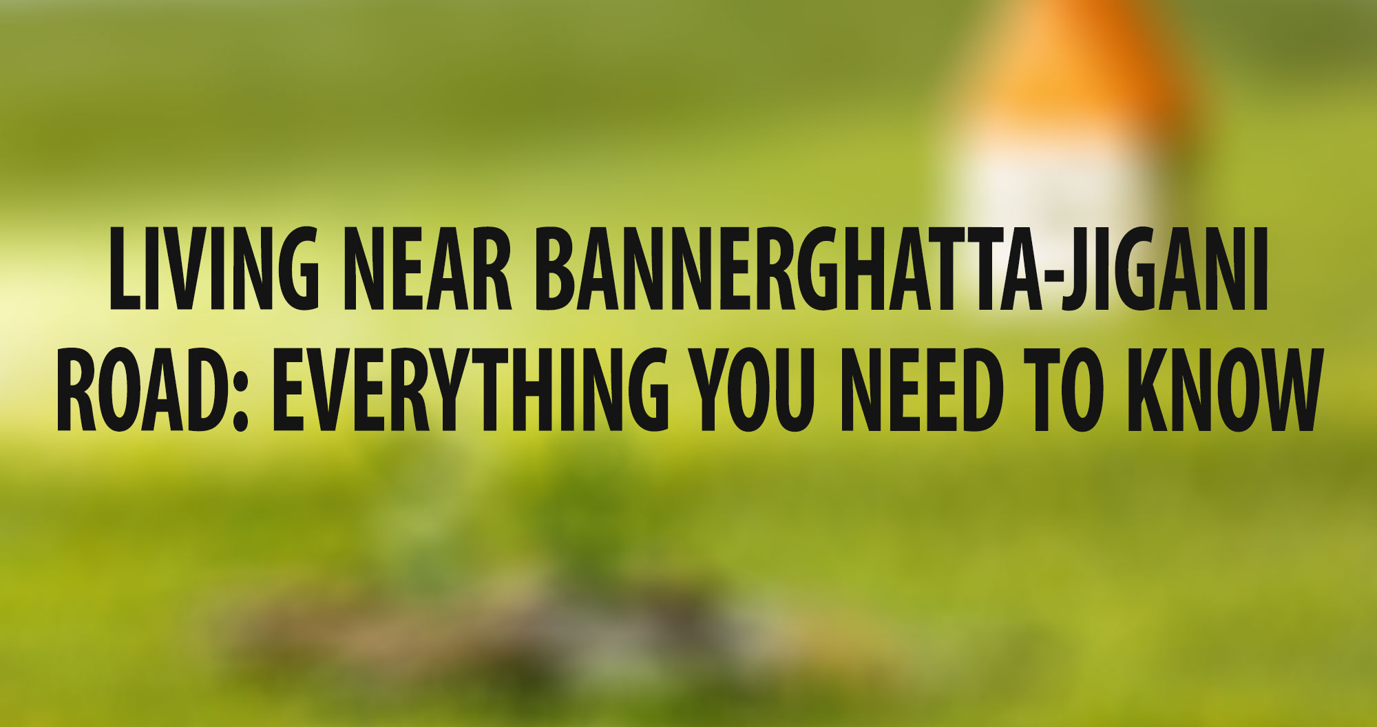 Living near Bannerghatta-Jigani Road: Everything You Need to Know