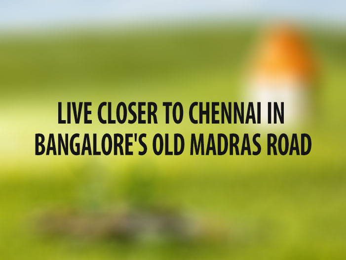 Live Closer to Chennai in Bangalore's Old Madras Road