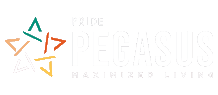 Pride Pegasus